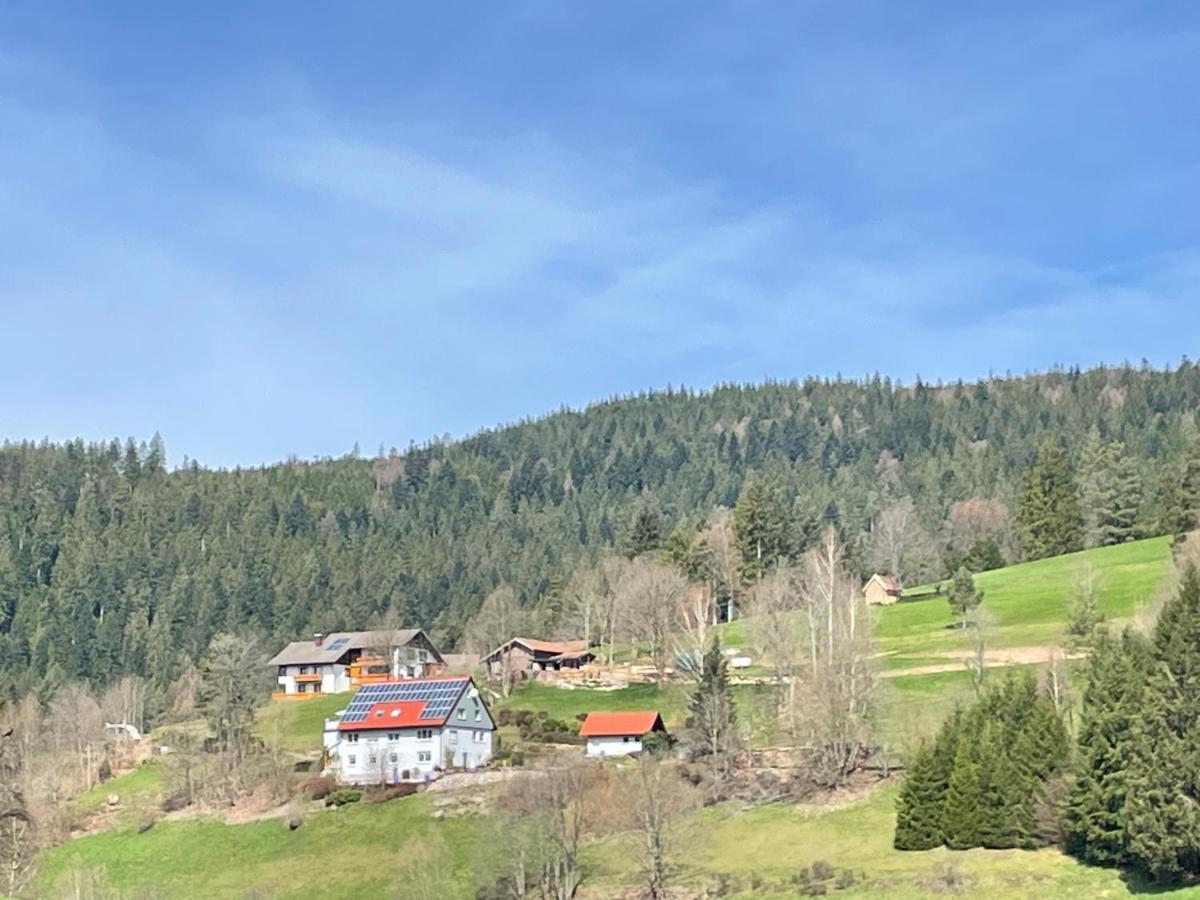 Апартаменти Altes Berghaus Obertal  Екстер'єр фото