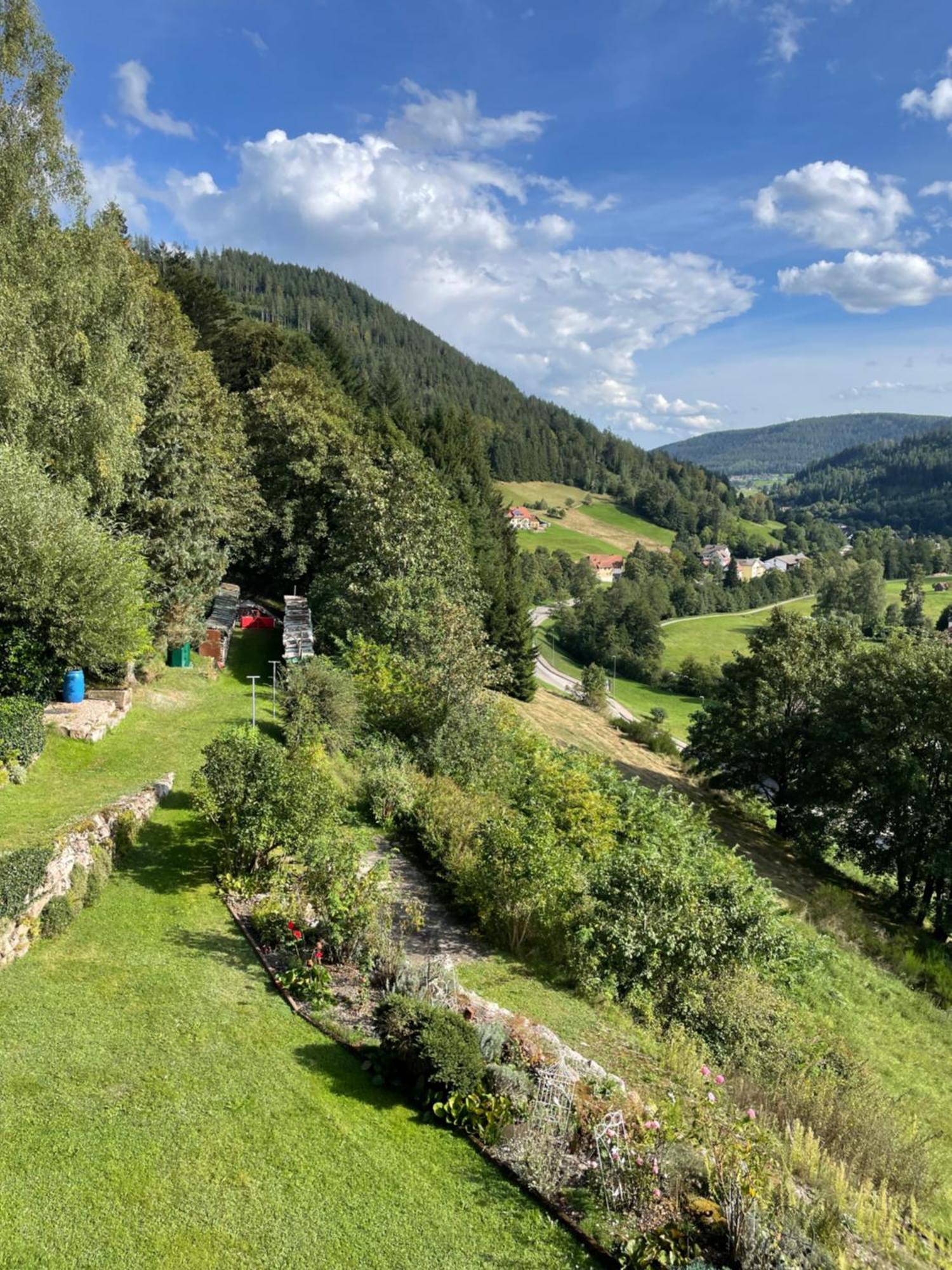 Апартаменти Altes Berghaus Obertal  Екстер'єр фото